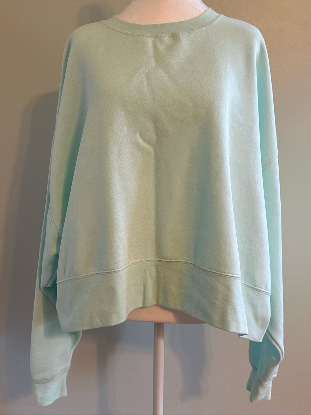 DSG Mint Green/light blue Pullover Sweatshirt